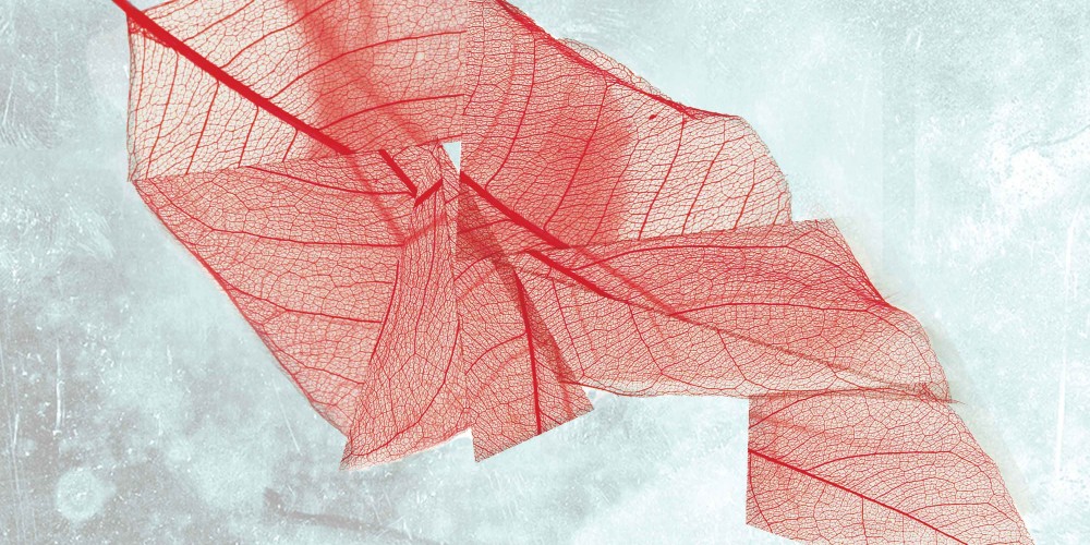 Artwork of a disjointed leaf for Quantum Theatre's Mnemonic